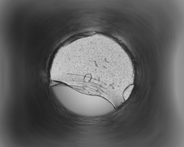 X0000087551308200705251732