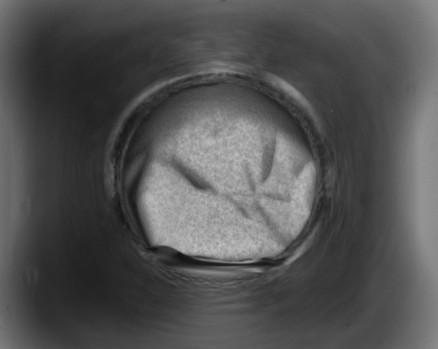 X0000087551310200705251732