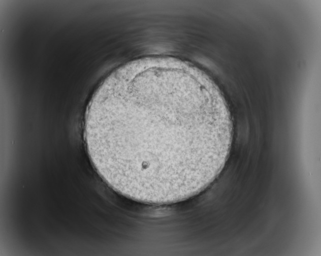 X0000087551314200705251732