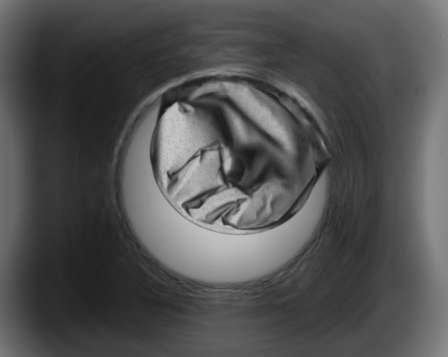 X0000087551316200705251732