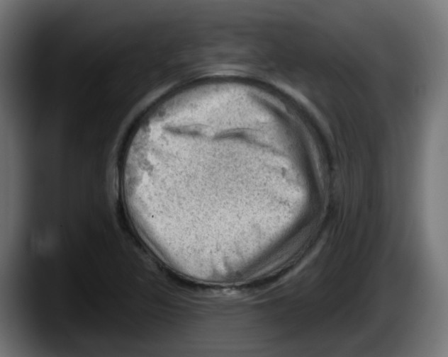 X0000087551317200705251732