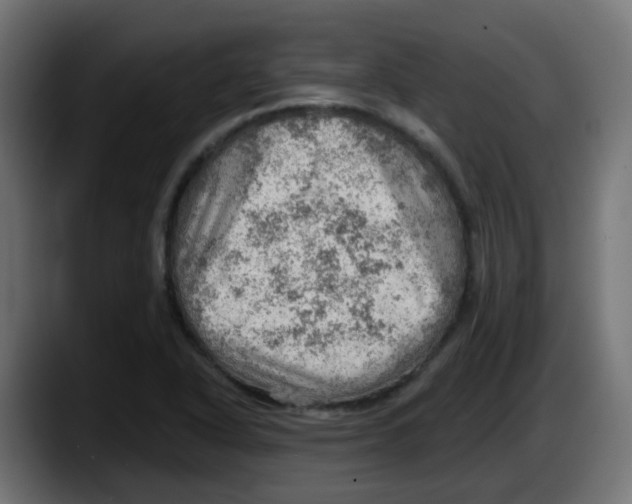 X0000087551318200705251732