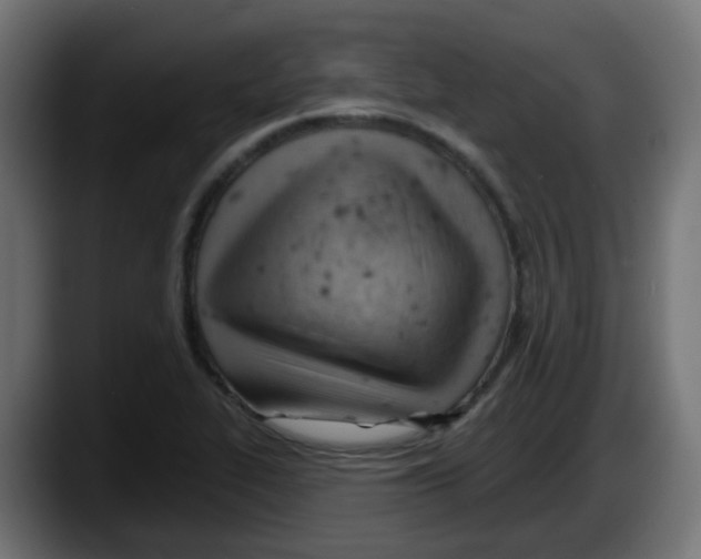 X0000087551319200705251732