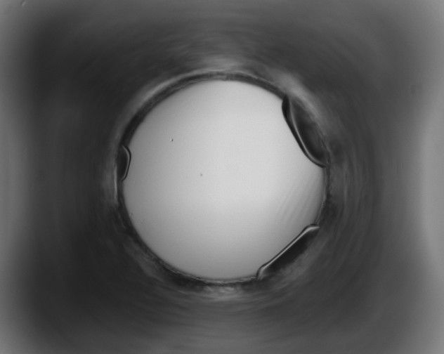 X0000087551320200705251732