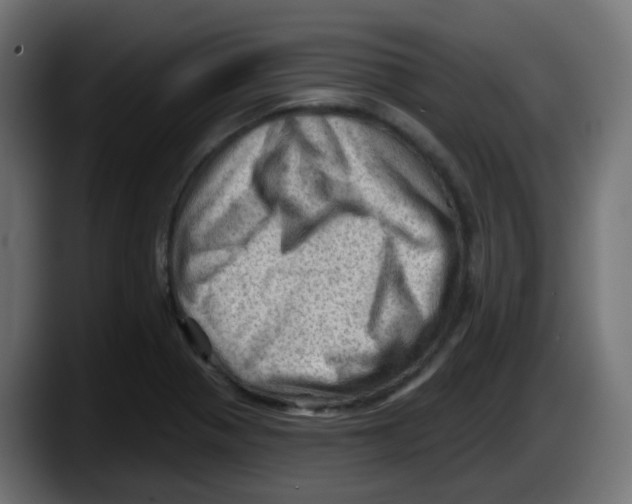 X0000087551321200705251732