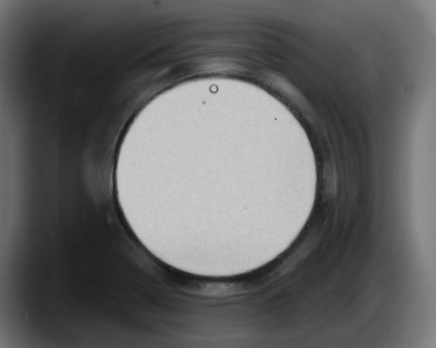 X0000087551322200705251732