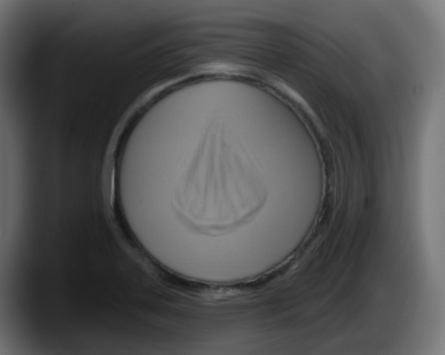 X0000087551323200705251732