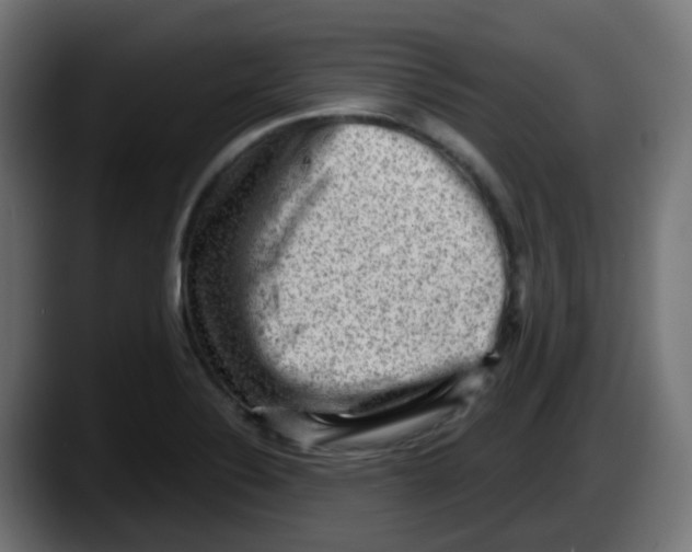 X0000087551324200705251732