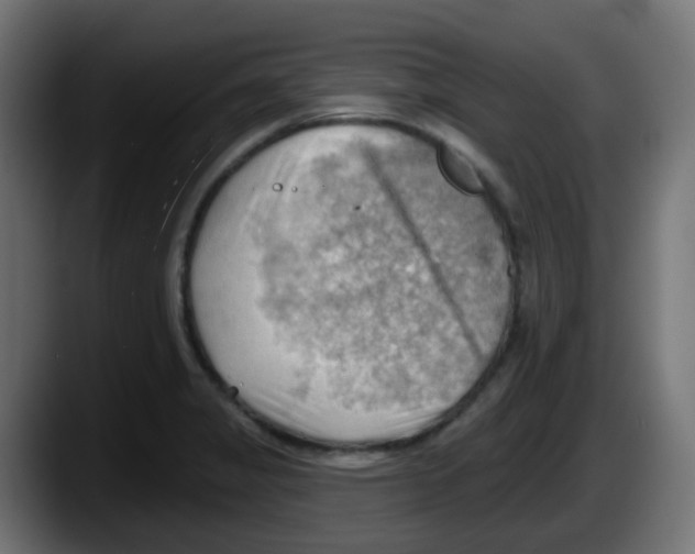 X0000087551325200705251732