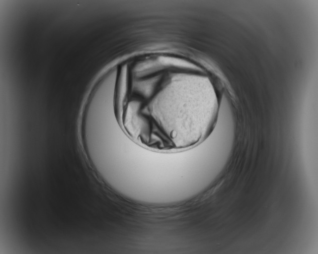 X0000087551328200705251732