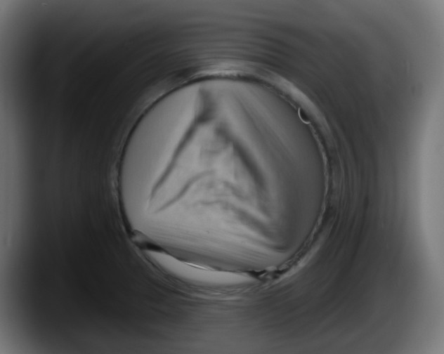 X0000087551329200705251732