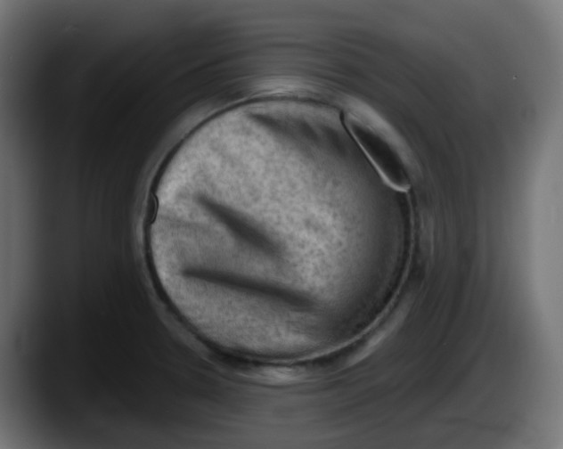 X0000087551330200705251732