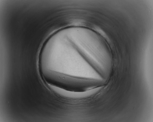 X0000087551331200705251732