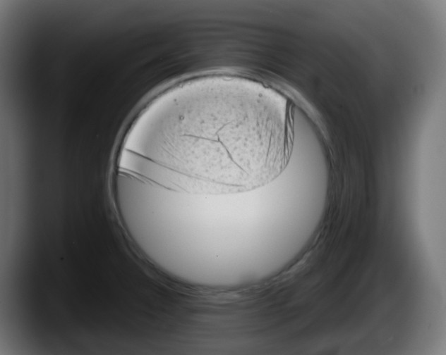 X0000087551332200705251732