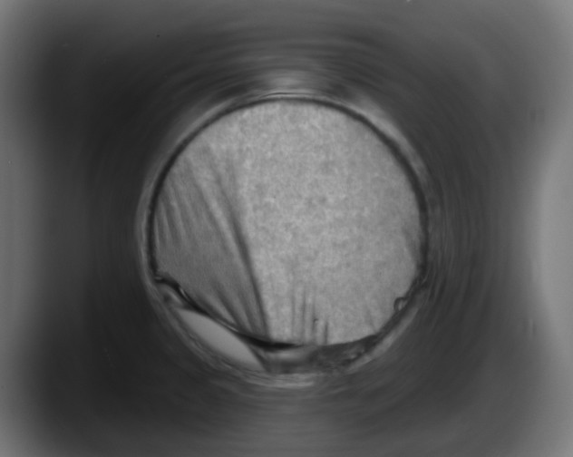 X0000087551333200705251732