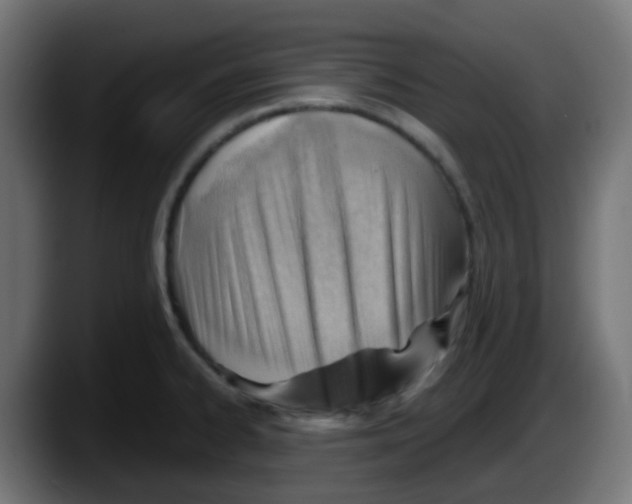 X0000087551334200705251732