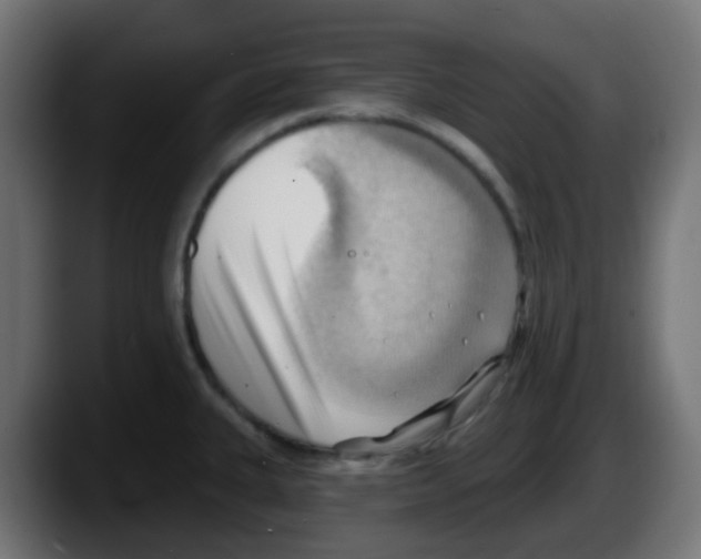 X0000087551335200705251732