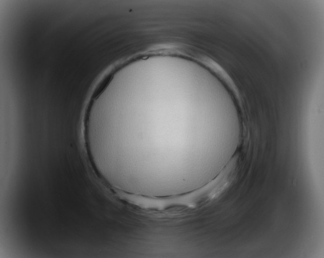 X0000087551336200705251732