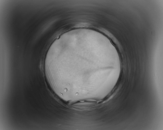 X0000087551337200705251732