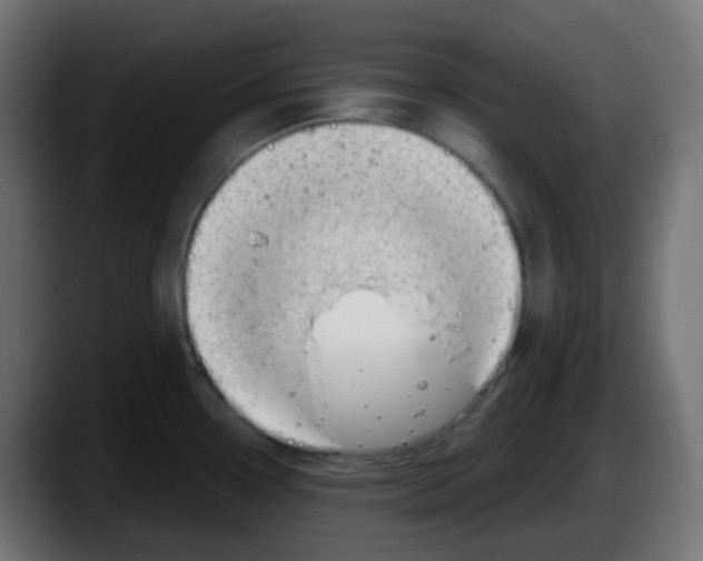 X0000087551338200705251732