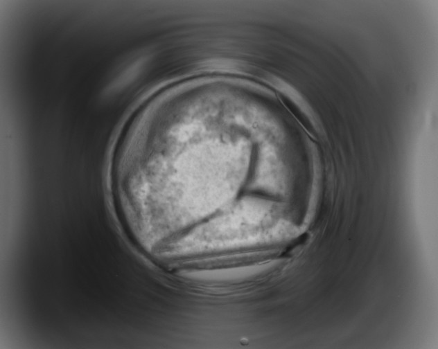 X0000087551339200705251732