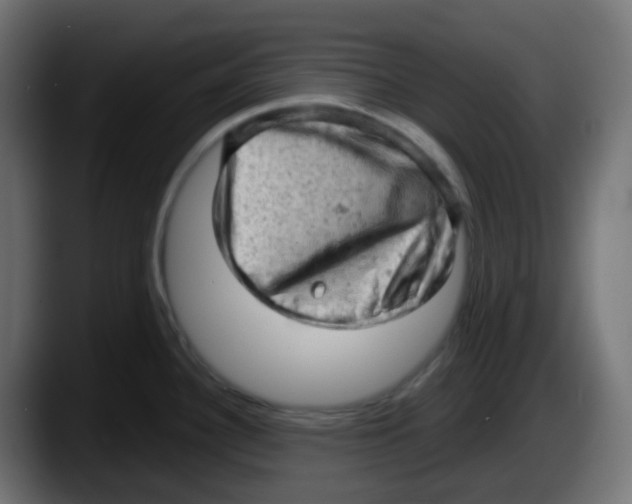 X0000087551340200705251732