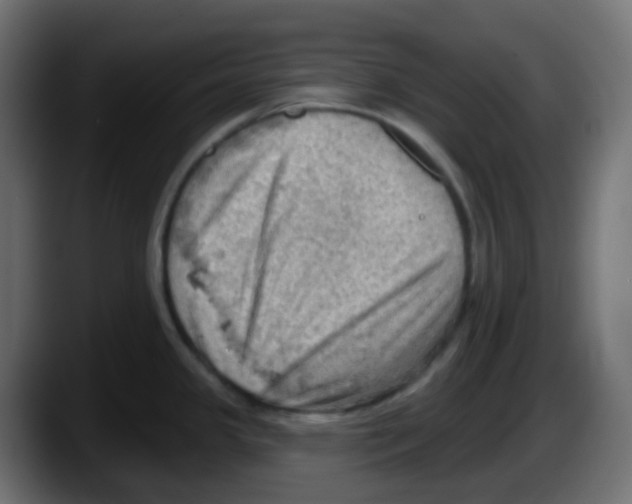 X0000087551341200705251732