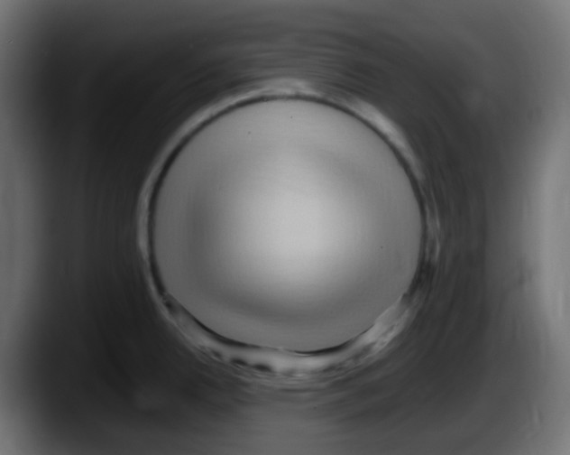 X0000087551342200705251732