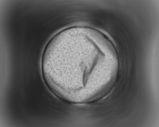 X0000087551343200705251732