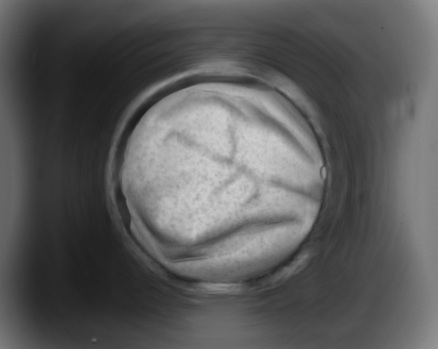 X0000087551344200705251732