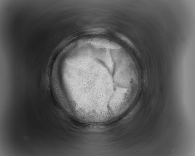 X0000087551354200705251732