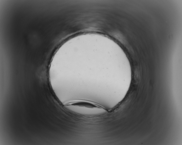 X0000087551356200705251732