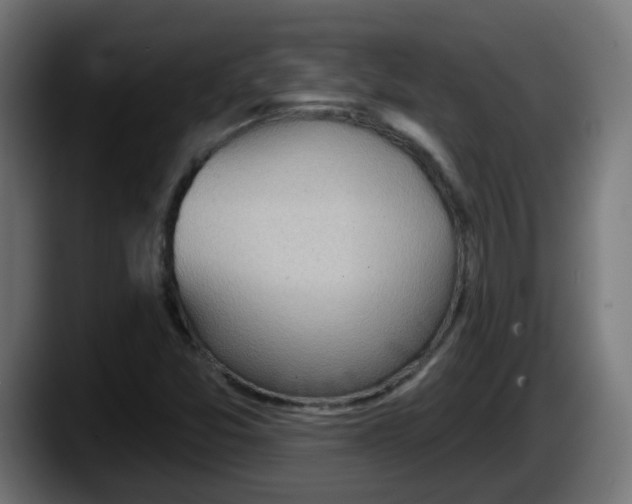 X0000087551357200705251732