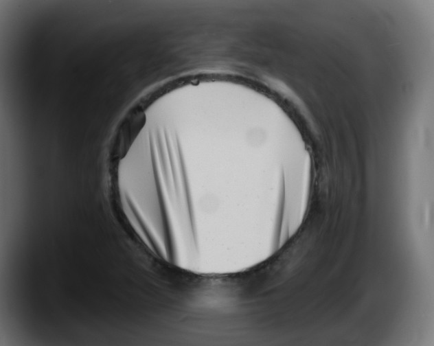 X0000087551360200705251732