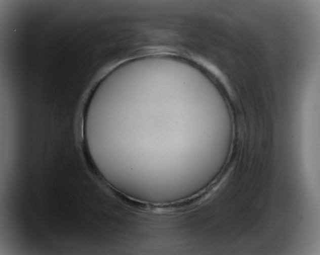 X0000087551365200705251732