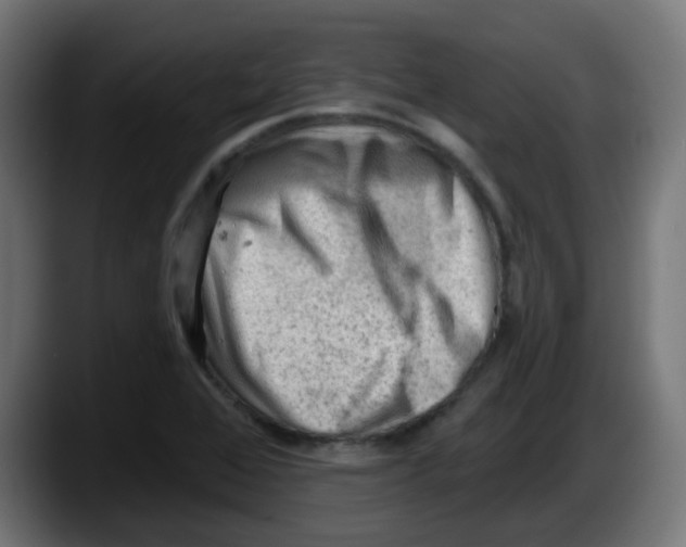 X0000087551368200705251732