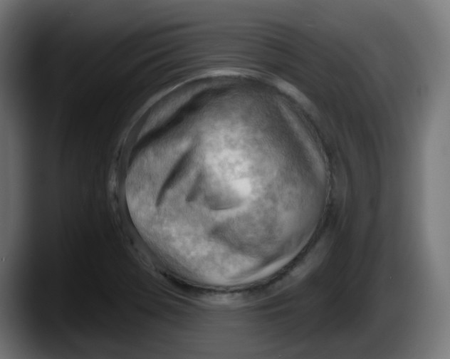 X0000087551369200705251732