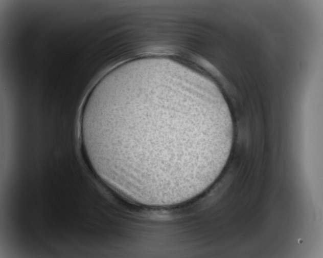 X0000087551370200705251732