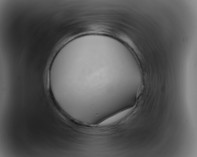 X0000087551371200705251732