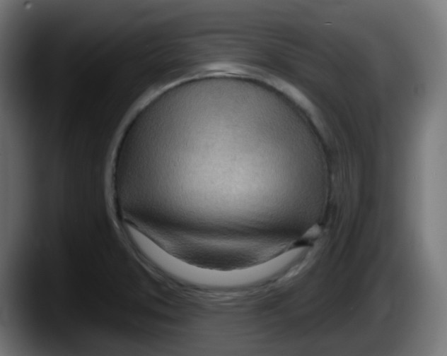 X0000087551373200705251731