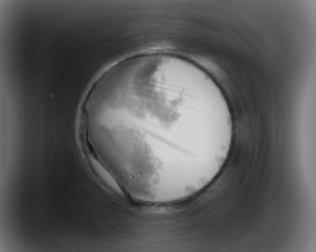 X0000087551374200705251731