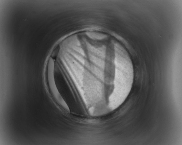 X0000087551375200705251731