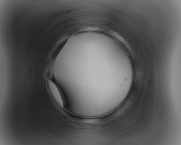 X0000087551377200705251731