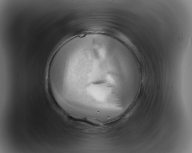 X0000087551378200705251731