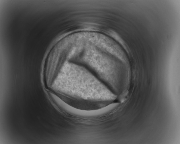 X0000087551379200705251731