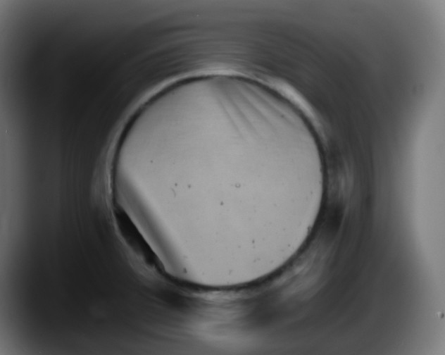 X0000087551380200705251731