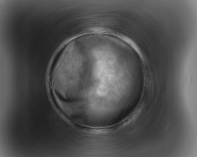 X0000087551381200705251731