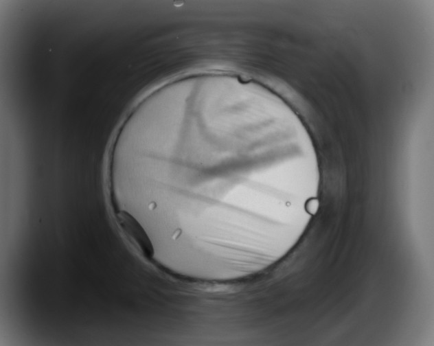 X0000087551382200705251731