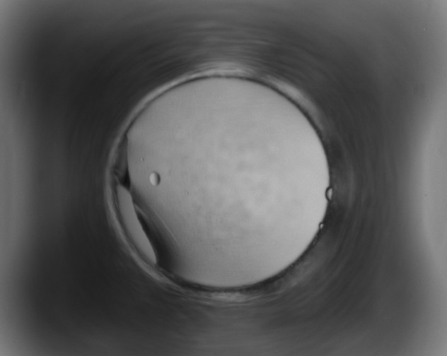 X0000087551383200705251731