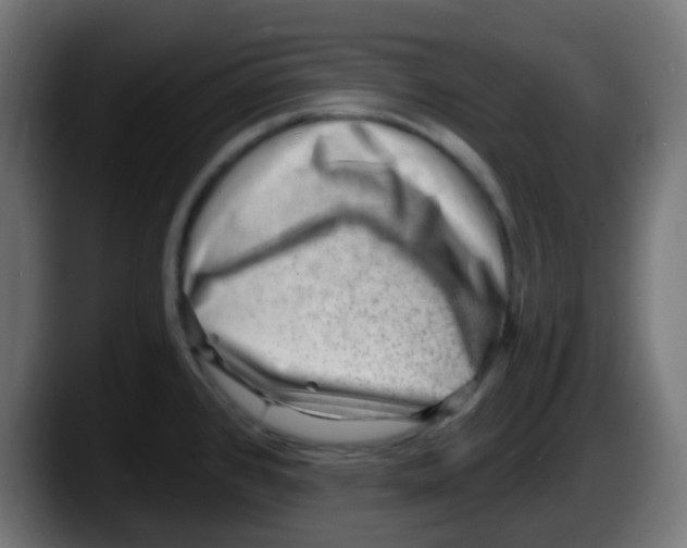 X0000087551384200705251731